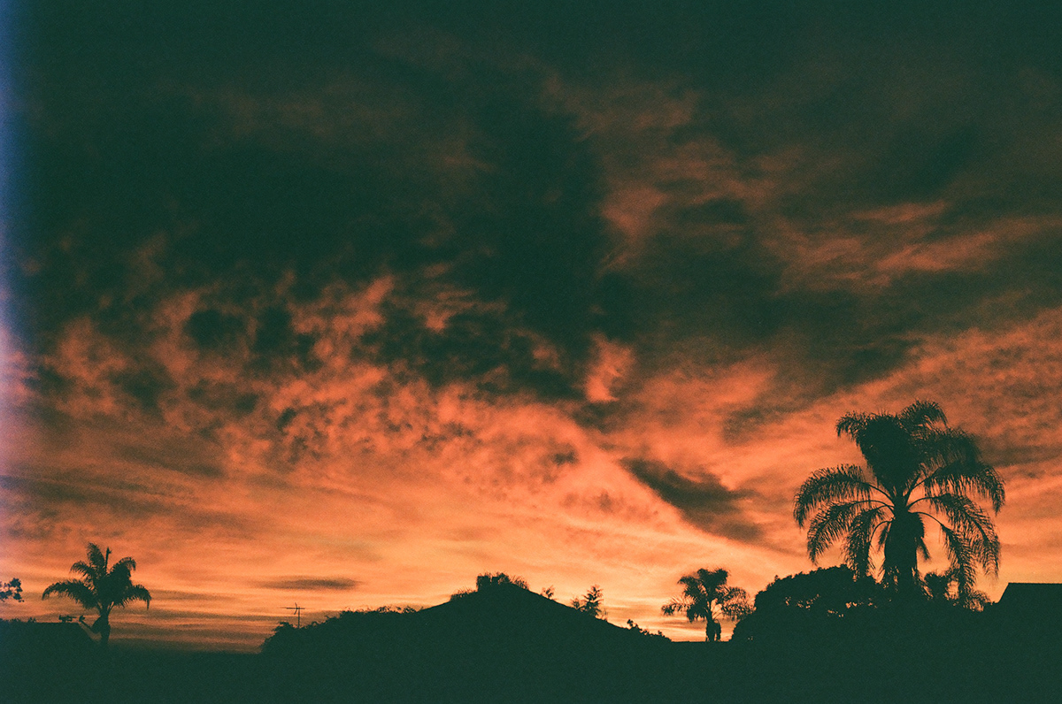 Fiery orange sunset sky with silhouetted palm trees and rooftops
